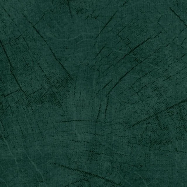 Rifurn Voltas fabric SR 10 close-up